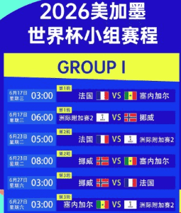 2026世界杯官方安全认证标识